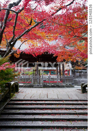 Kuwayama Shrine with bright red autumn leaves Kuwayama Shrine with bright red autumn leaves 128348836