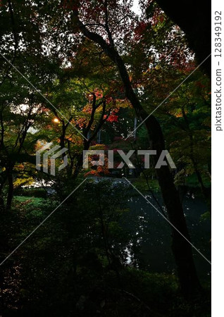 Landscape with autumn leaves Landscape with autumn leaves 128349192