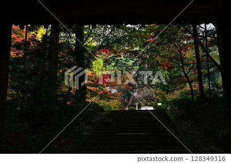 丹波筱山的紅葉 丹波筱山的紅葉 128349316