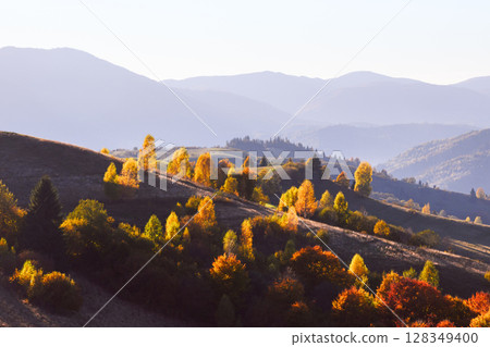 Colorful autumn trees glow in the rays of the rising sun 128349400