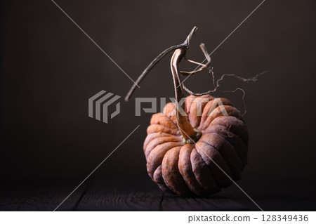 Orange heirloom Black Futsu squash with ribbed skin on dark background Orange heirloom Black Futsu squash with ribbed skin on dark background 128349436