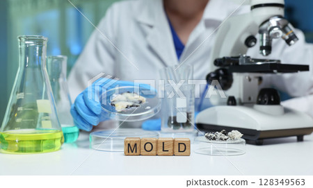 Comprehensive Examination of Mold in Laboratory Settings through Microscopic Analysis Techniques 128349563