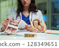 Medical Professional Conducting a Detailed Analysis of Reproductive Models and Vital Data 128349651