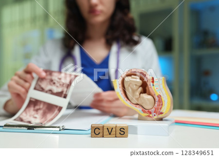 Medical Professional Conducting a Detailed Analysis of Reproductive Models and Vital Data 128349651