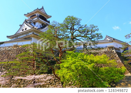 高知城堡在春天 128349872