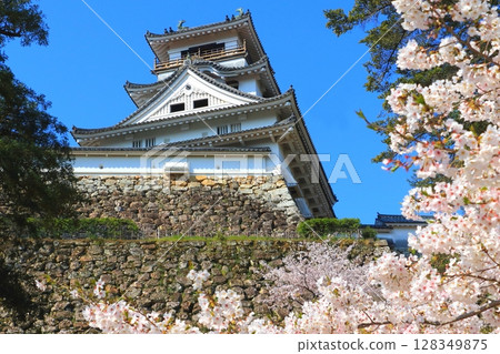 高知城堡在春天 高知城堡在春天 128349875