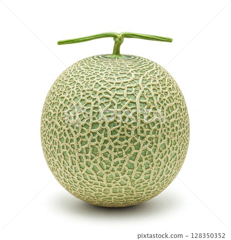 High-quality muskmelon placed on a white background. Beautiful mesh muskmelon for advertising. 128350352