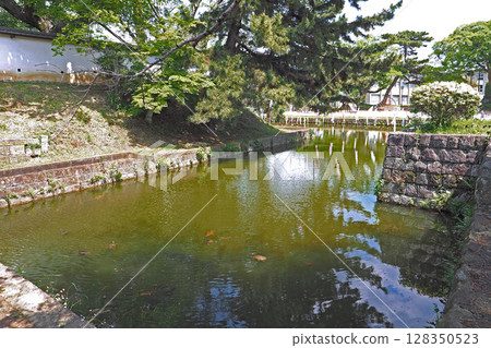 Moat of Kijo Park (Tsuchiura Castle ruins) [Tsuchiura City, Ibaraki Prefecture] 128350523