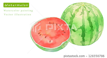 Vector illustration of cut watermelon painted in watercolor 128350786