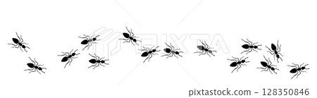 Black silhouette trail of ants marching in random directions. Insect line vector illustration for biology, nature education, pest control, or design elements. 128350846