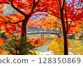 Eikan-do Autumn leaves Kyoto 128350869