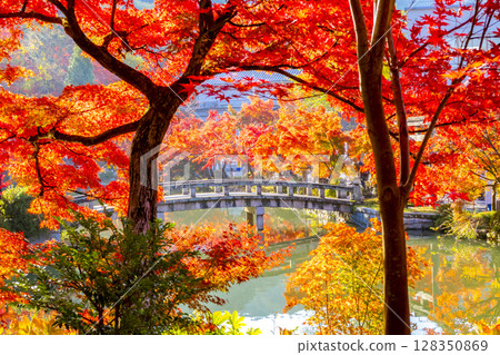 Eikan-do Autumn leaves Kyoto Eikan-do Autumn leaves Kyoto 128350869