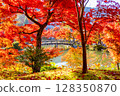 Eikan-do Autumn leaves Kyoto 128350870
