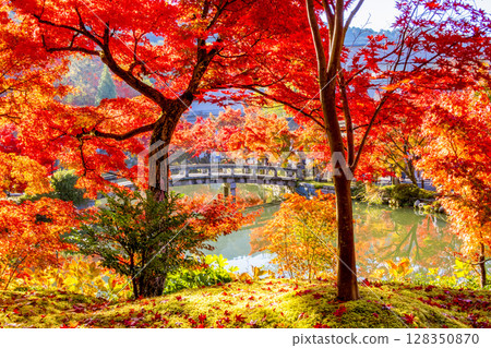 Eikan-do Autumn leaves Kyoto 128350870