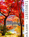 Eikan-do Autumn leaves Kyoto 128350871