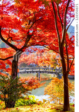 Eikan-do Autumn leaves Kyoto 128350871