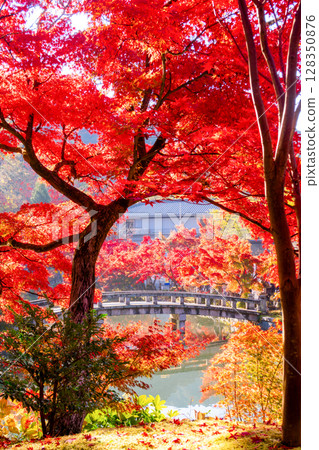 京都永觀堂的秋葉 128350876