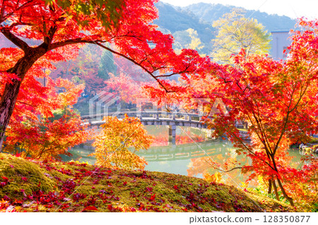Autumn leaves at Eikando Temple, Kyoto 128350877
