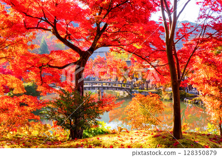 京都永觀堂的秋葉 京都永觀堂的秋葉 128350879