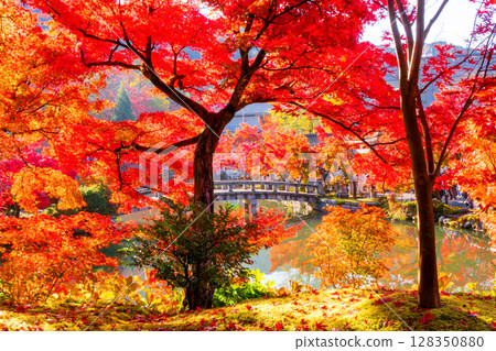 京都永觀堂的秋葉 128350880