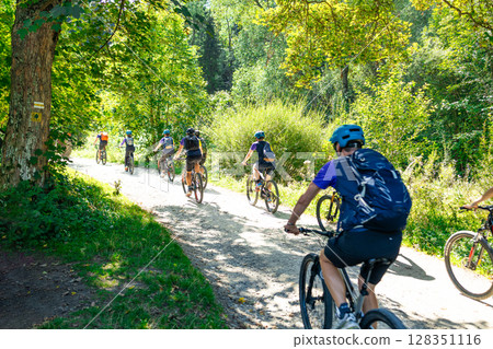Cyclists Riding on Forest Trail in Summer Cyclists Riding on Forest Trail in Summer 128351116