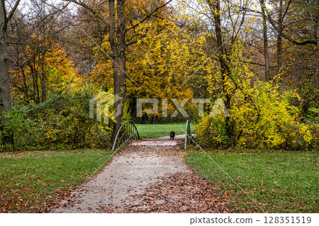 Golden autumn view in famous Munich relax place - Englischer Garten. Munich, Bavaria, Germany 128351519