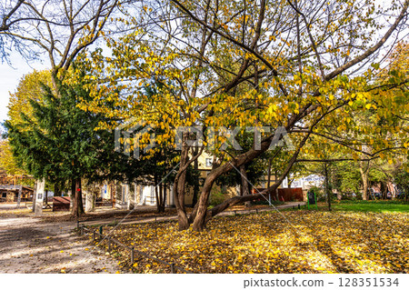 Golden autumn view in famous Munich Old botanic garden in Munich, Bavaria, Germany Golden autumn view in famous Munich Old botanic garden in Munich, Bavaria, Germany 128351534