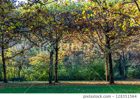 Walking in Hofgarten Park in Munich on an autumn day, Germany Walking in Hofgarten Park in Munich on an autumn day, Germany 128351564