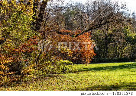 Golden autumn view in famous Munich relax place - Englischer Garten. Munich, Bavaria, Germany Golden autumn view in famous Munich relax place - Englischer Garten. Munich, Bavaria, Germany 128351578