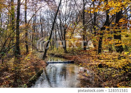 Golden autumn view in famous Munich relax place - Englischer Garten. Munich, Bavaria, Germany Golden autumn view in famous Munich relax place - Englischer Garten. Munich, Bavaria, Germany 128351581