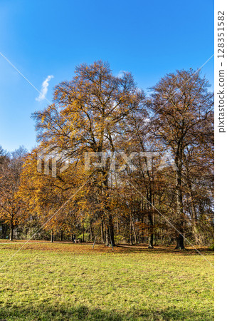 Golden autumn view in famous Munich relax place - Englischer Garten. Munich, Bavaria, Germany Golden autumn view in famous Munich relax place - Englischer Garten. Munich, Bavaria, Germany 128351582