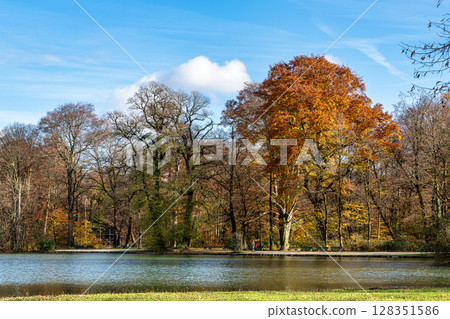 Golden autumn view in famous Munich relax place - Englischer Garten. Munich, Bavaria, Germany Golden autumn view in famous Munich relax place - Englischer Garten. Munich, Bavaria, Germany 128351586