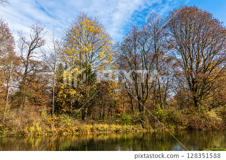Golden autumn view in famous Munich relax place - Englischer Garten. Munich, Bavaria, Germany Golden autumn view in famous Munich relax place - Englischer Garten. Munich, Bavaria, Germany 128351588