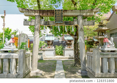 Torii gates of Tamatsukuri Inari Shrine, Niyama Inari Shrine and Bankei Inari Shrine in Tamatsukuri, Chuo Ward, Osaka City 128351800