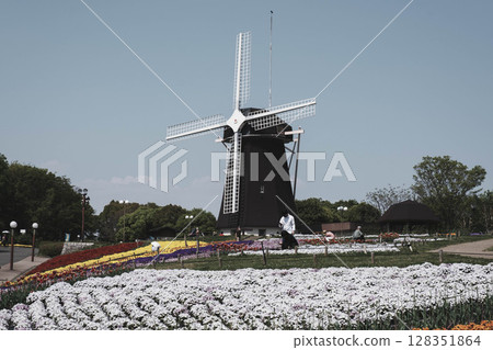 [Hanahaku Memorial Park Tsurumi Ryokuchi] A beautiful park with a large windmill and beautiful flowers in full bloom 128351864