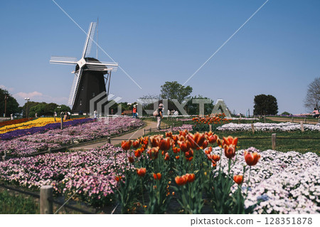 [Hanahaku Memorial Park Tsurumi Ryokuchi] A beautiful park with a large windmill and beautiful flowers in full bloom 128351878