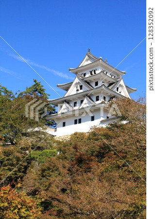 郡上八幡城 128352092