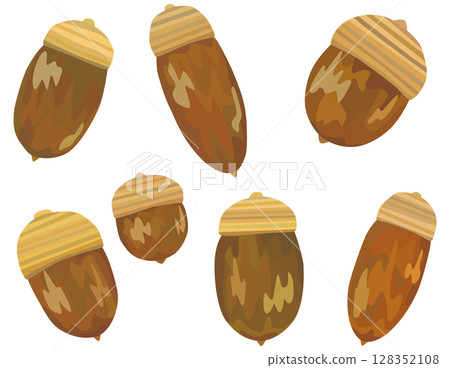 Acorn illustration set vector material 128352108