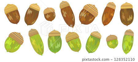 Acorn illustration set Autumn material Vector 128352110