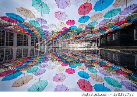 Hokkaido Summer Furano Biei Farm Tomita Colorful Shikisai no Oka Lavender Purple Cosmos Flowers Hokkaido Summer Furano Biei Farm Tomita Colorful Shikisai no Oka Lavender Purple Cosmos Flowers 128352752