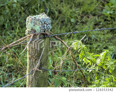 poles with barbed wire 128353342
