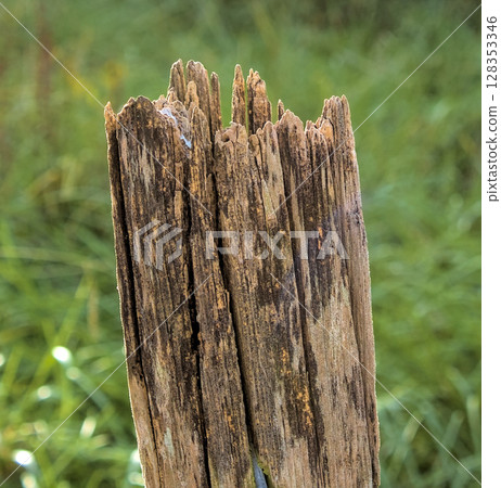 weather eroded post 128353346