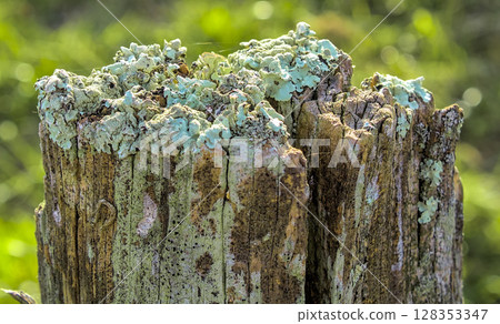 weather eroded post weather eroded post 128353347