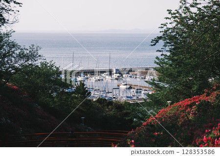 [Sennan Atagoyama] A famous spot for azaleas 128353586