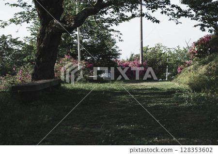 [Sennan Atagoyama] A famous spot for azaleas 128353602