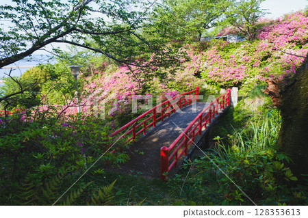 【泉南愛宕山】以鮮紅色的橋樑和杜鵑花而聞名的景點 【泉南愛宕山】以鮮紅色的橋樑和杜鵑花而聞名的景點 128353613