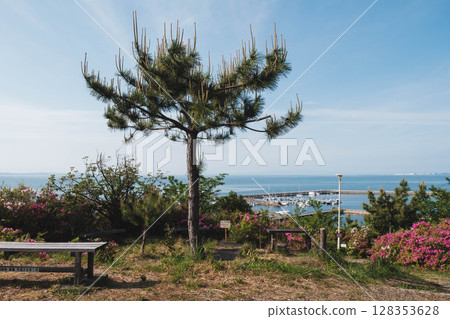 【泉南愛宕山】高大的樹木和美麗的港口小鎮風景 128353628