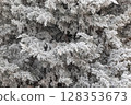 Winter landscape background 128353673