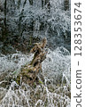 Winter landscape background 128353674