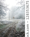 Winter landscape background 128353675